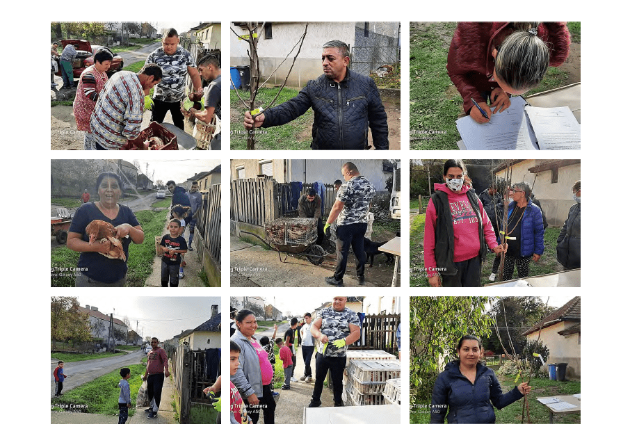 Szociális Földprogram