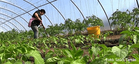 Szociális Földprogram Kötelező Képzés