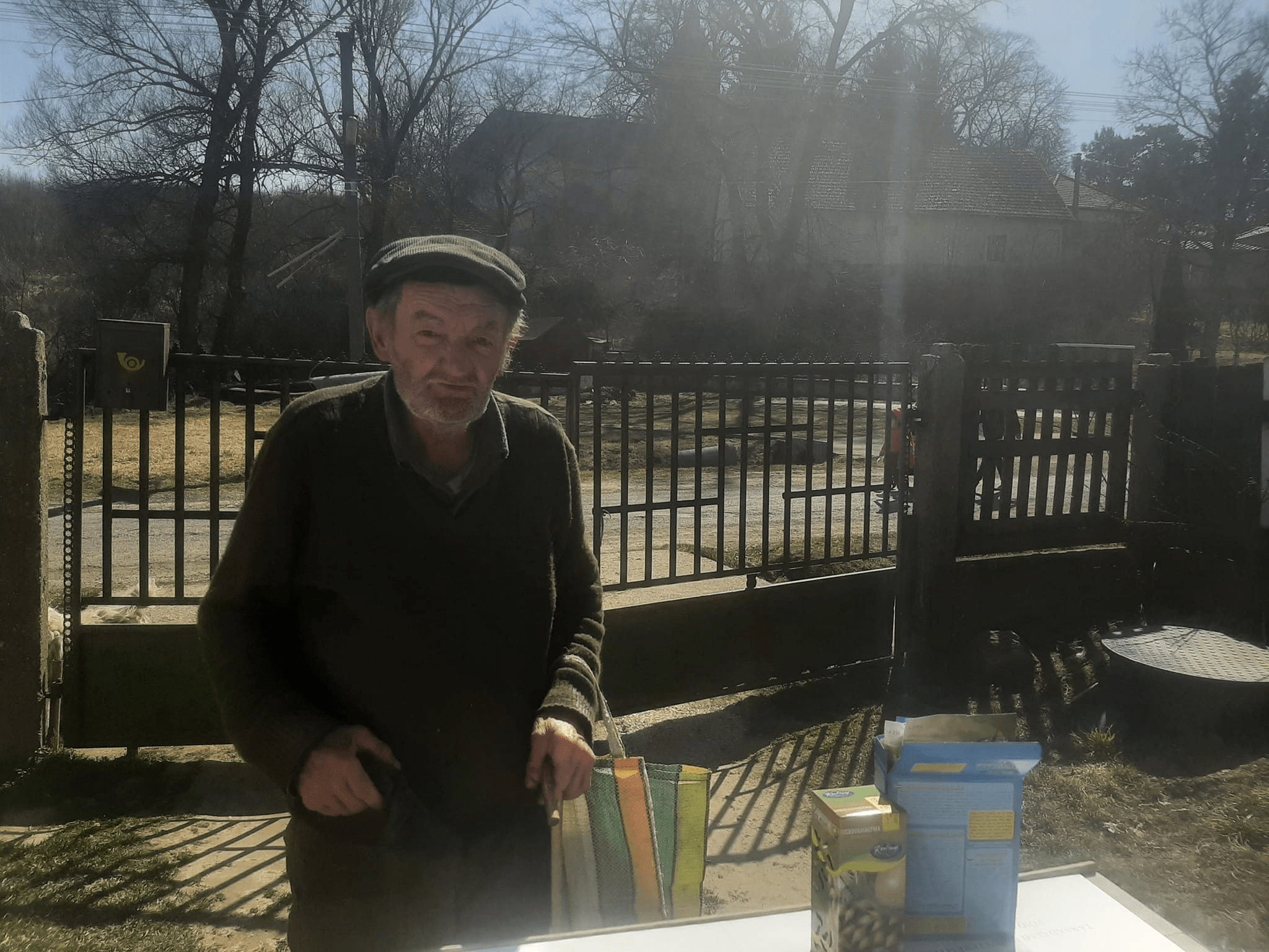 Kép a vetőmagosztásról