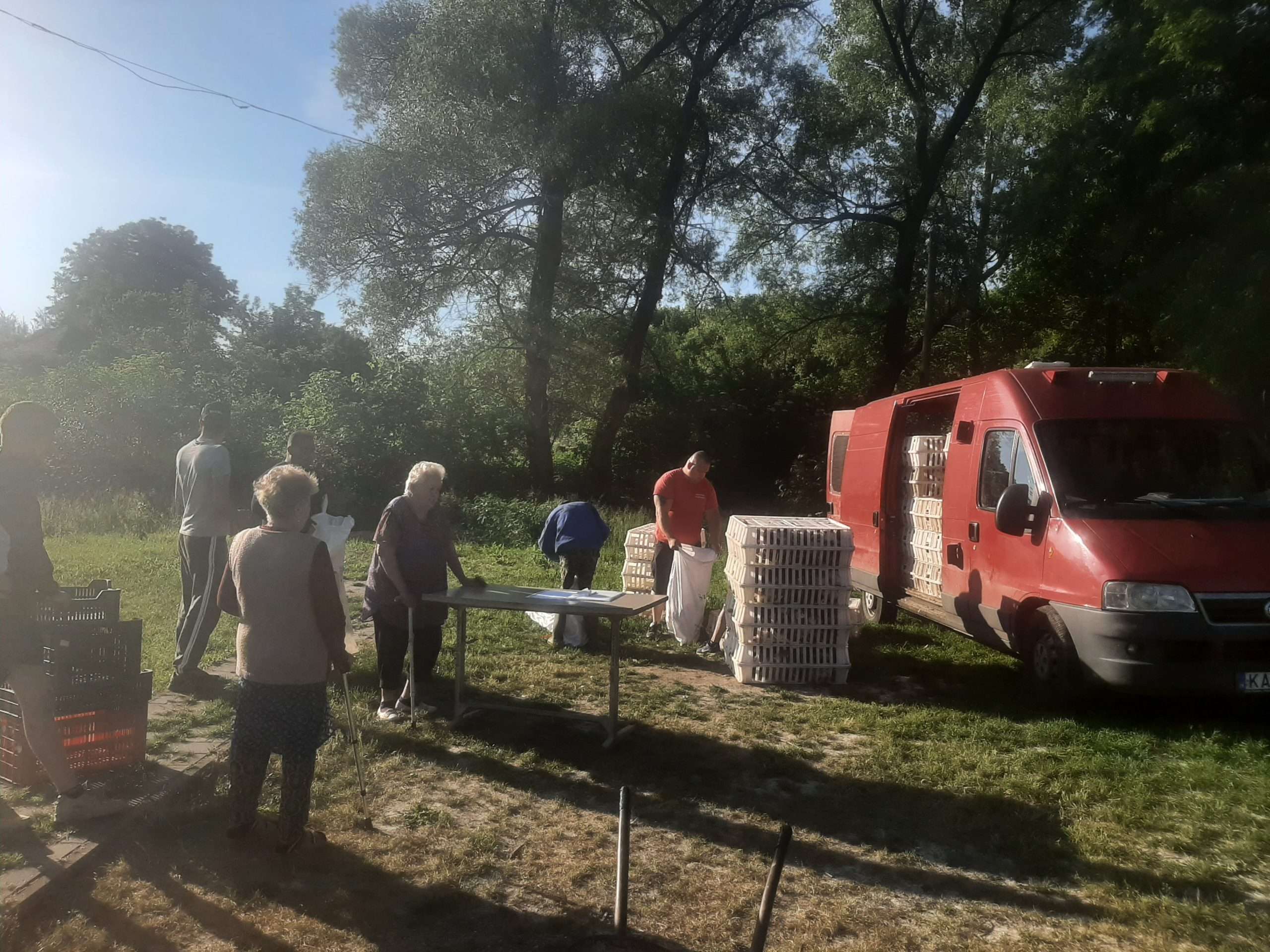 Tojótyúkot kaptak a kedvezményezett családok Kép a tyúkosztásról