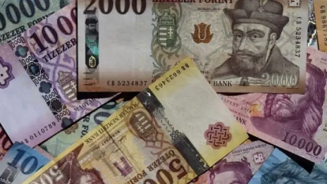 támogatás
