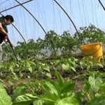 Szociális Földprogram Kötelező Képzés